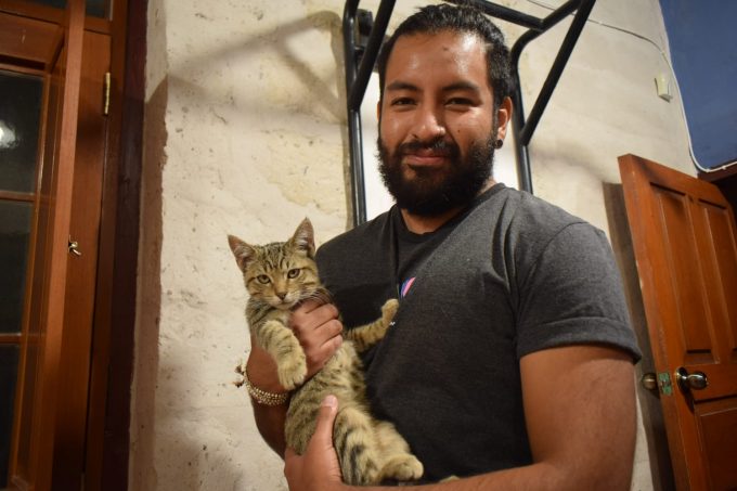 Cómo se califica, un catador de atardeceres, pero de felinos gustos, en foto, con el gato Borges.